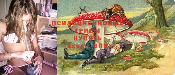 мяу мяу мука Алексин
