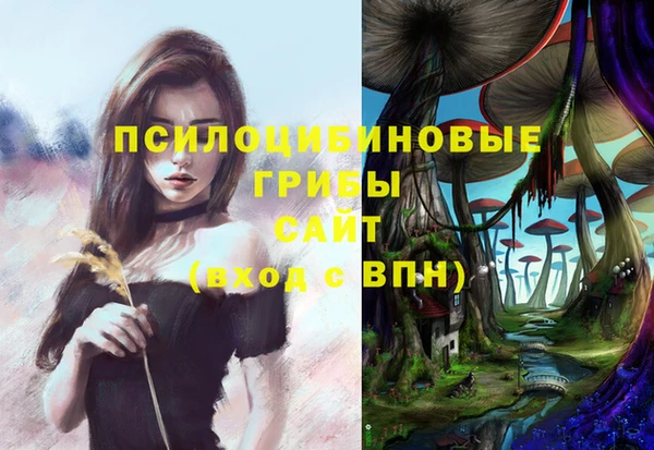 ALPHA-PVP Алексеевка